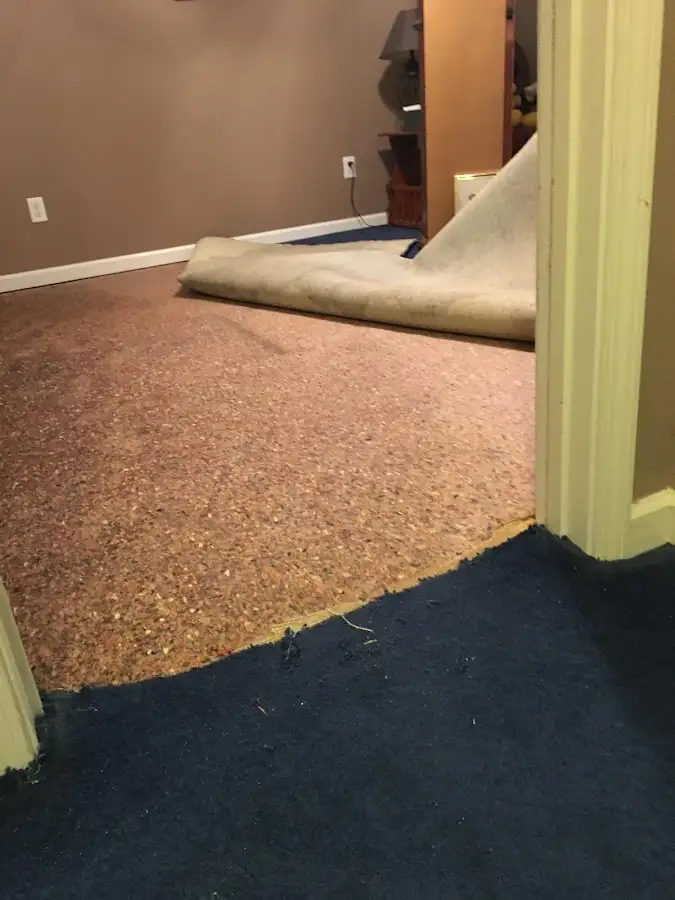 Carpet pad removal revealing water damage during Water Mitigation Services in Essex Junction